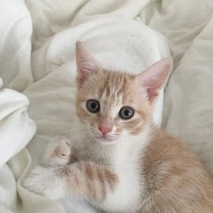 Meet your Posher, Sergio